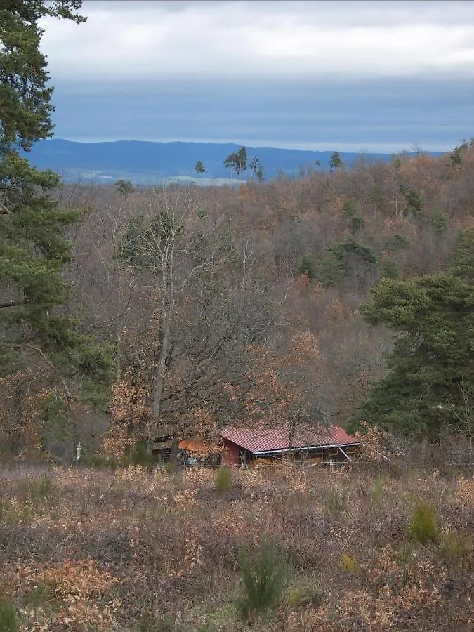 B&B Tatanka Ranch For 2 Leotoing 0*,